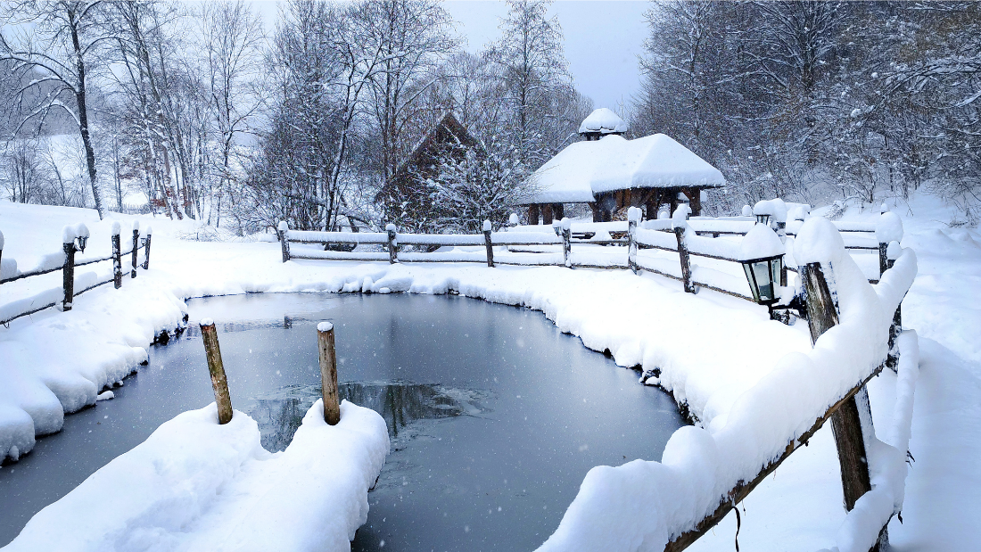Otoczenie ośrodka – góry, las